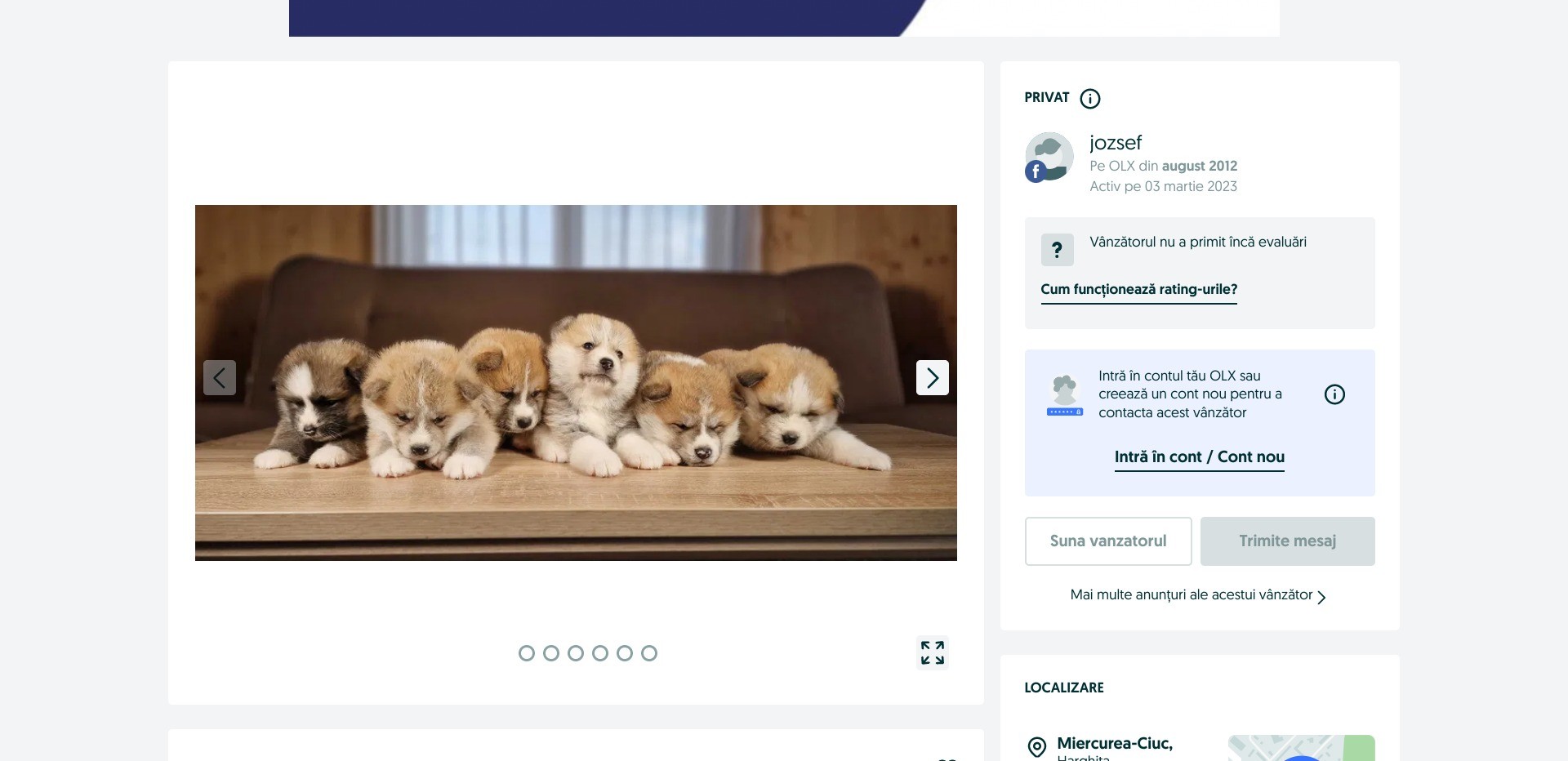 Screenshot of a random listing on olx.ro displaying puppies for sale
