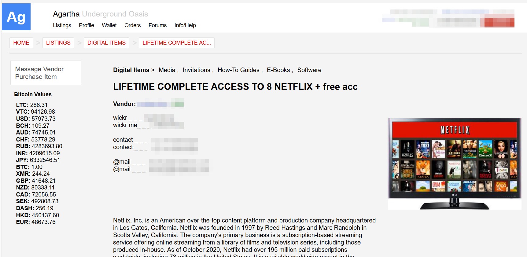 Screenshot of lifetime complete access to Netflix offer on Marketplace Agartha