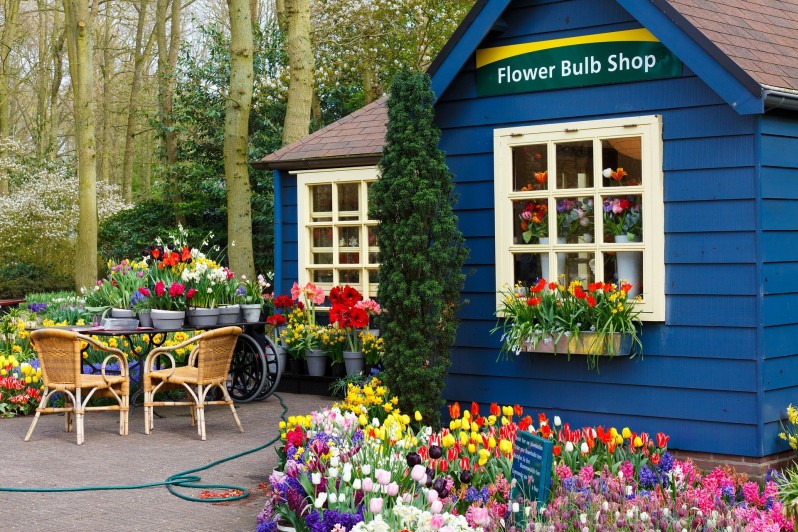 Image: Thoughtfully arranged flowers in a flower shop
